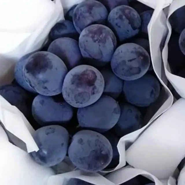 【RealShop】日本貓眼無籽葡萄約1.3kg±10%x1盒(共2房裝禮盒 送禮精品 水果禮盒)