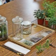 【植物生態瓶】特大玻璃DIY材料包+教學影片