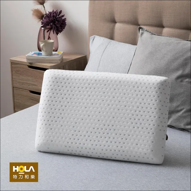 【HOLA】弗洛克classic感溫記憶枕標準型H8cm