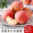 【喜樂果園】正宗拉拉山水蜜桃8顆x1盒(中大果_產地現摘_冷藏直送)