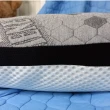 【LASSLEY】石墨烯彈簧健康枕 1入組(台灣製造 50顆獨立筒 兩面枕 GRAPHENE)