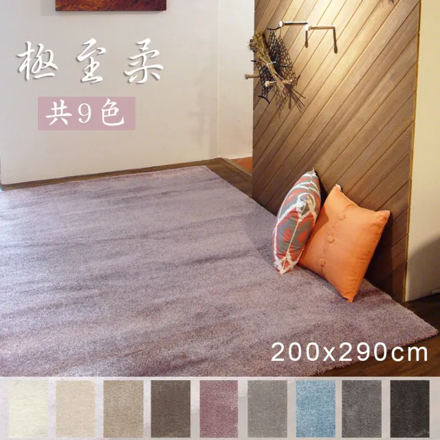 【范登伯格】比利時 極至柔光澤長毛地毯(200x290/共9色)