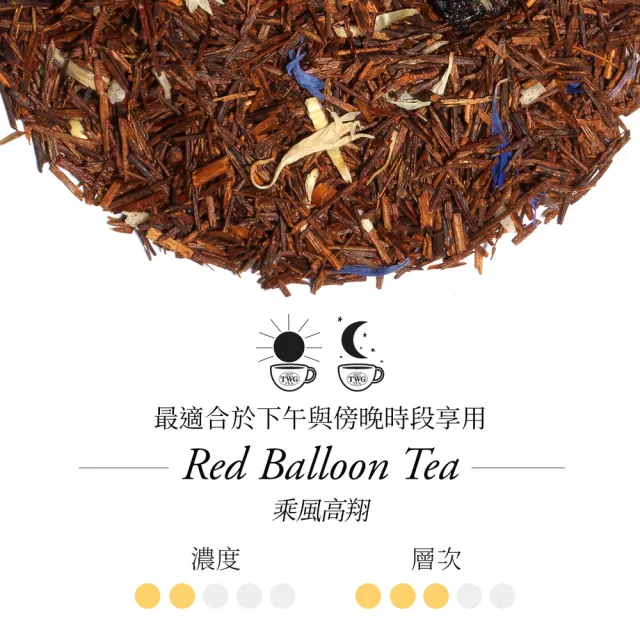 【TWG Tea】時尚茶罐雙入禮盒組 乘風高翔100g+銀月綠茶100g(南非國寶茶+綠茶)