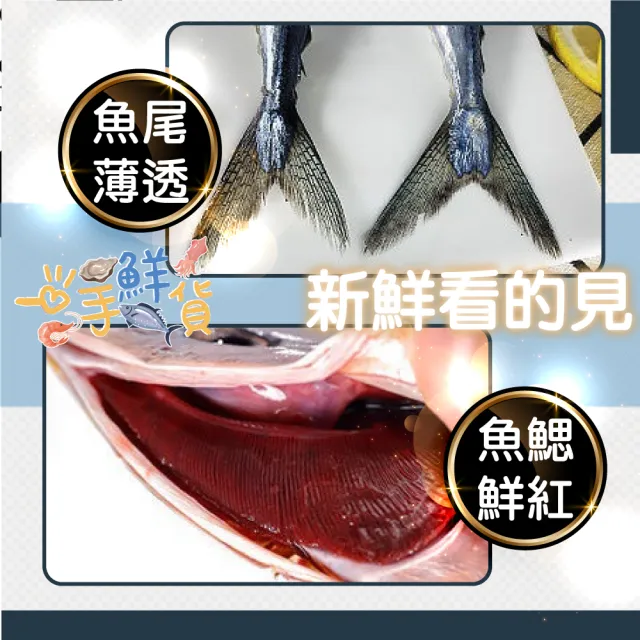 【一手鮮貨】【1號】臺灣野生秋刀魚(6包組/單包3-5隻)
