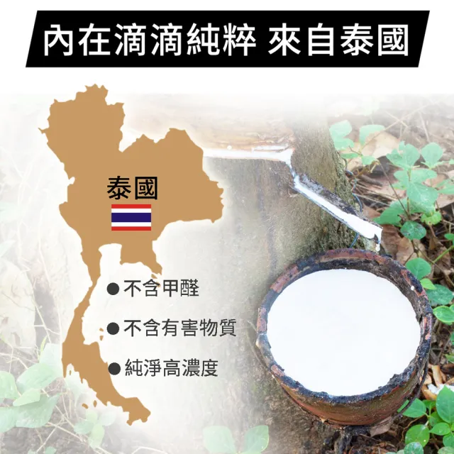 【LooCa】5cm泰國乳膠床墊-搭贈舒柔防蹣布套(雙人5尺)