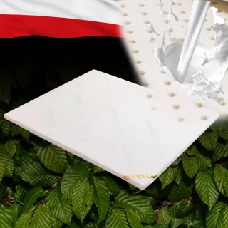 【LooCa】2.5cm泰國乳膠床墊-搭贈水漾天絲布套(雙人5尺★限量出清)