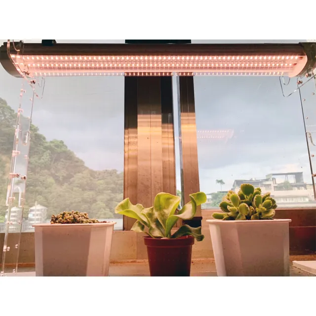 【JIUNPEY 君沛】2呎 25W 加強型光譜植物燈管 防水型雙排燈芯設計(植物生長燈 三防燈)