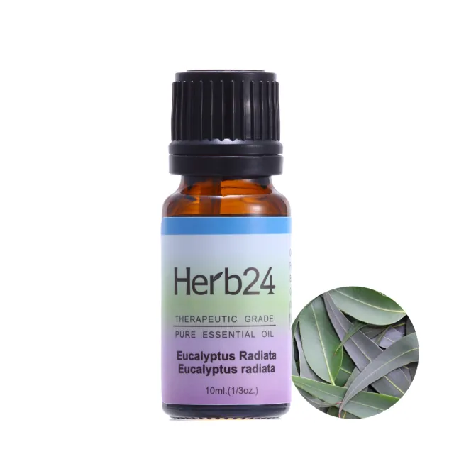 【草本24】Herb24 防護精油三件組－呼吸順暢複方、茶樹、澳洲尤加利精油(振奮精神 提神醒腦必備)