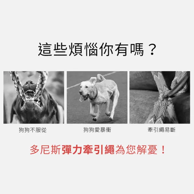 【美好寵商】DOGNESS多尼斯 抗震系列牽引繩_L號(寵物用品 彈力牽繩 寵物外出牽繩)