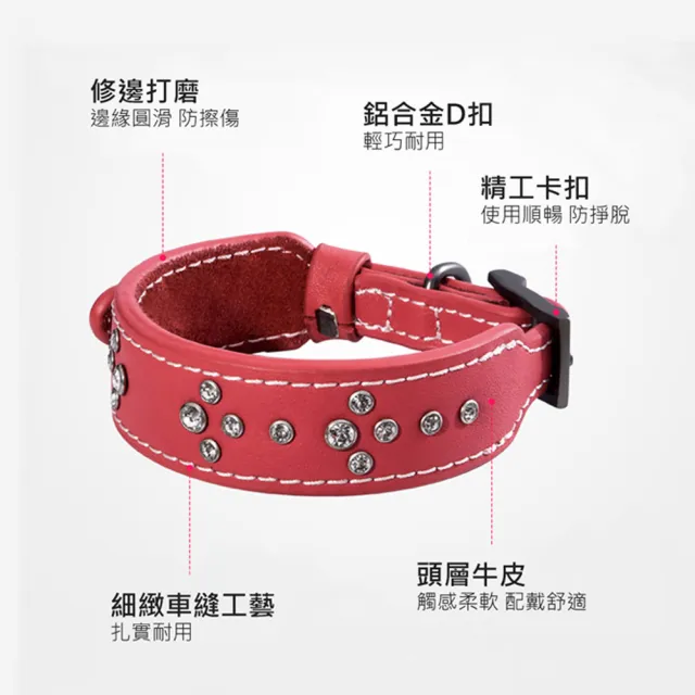【美好寵商】DOGNESS多尼斯 真皮系列鑽石項圈_S號(狗項圈 狗狗項圈 真皮項圈)