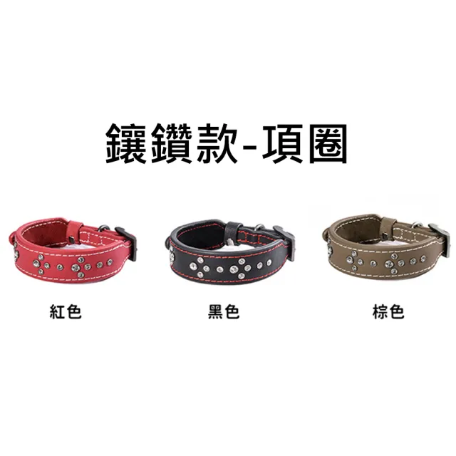 【美好寵商】DOGNESS多尼斯 真皮系列鑽石項圈_S號(狗項圈 狗狗項圈 真皮項圈)