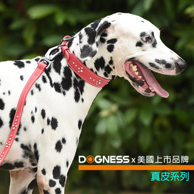 【美好寵商】DOGNESS多尼斯 真皮系列箭頭牽引繩_S號(寵物牽繩 戶外牽繩 狗牽繩)