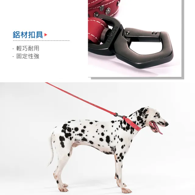 【美好寵商】DOGNESS多尼斯 真皮系列箭頭牽引繩_S號(寵物牽繩 戶外牽繩 狗牽繩)