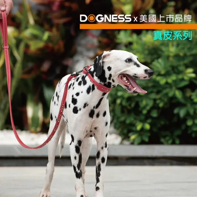 【美好寵商】DOGNESS多尼斯 真皮系列箭頭項圈_M號(狗項圈 狗狗項圈 真皮項圈)