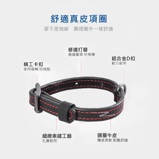 【美好寵商】DOGNESS多尼斯 真皮系列箭頭項圈_S號(狗項圈 狗狗項圈 真皮項圈)