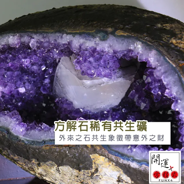 【開運方程式】特大烏拉圭方解石共生錢袋子聚寶盆紫水晶洞AGU211(14.6公斤紫晶洞)
