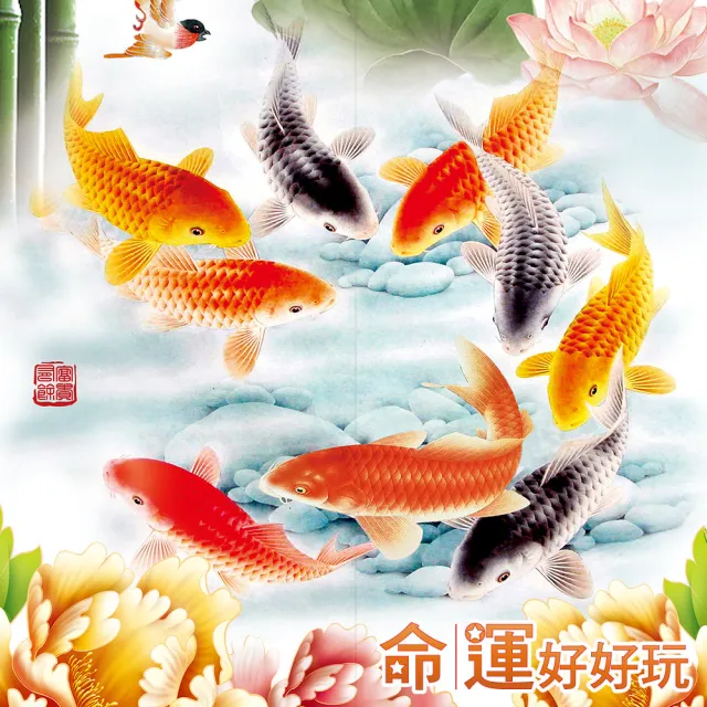 【命運好好玩】李玉珮-旺運生財富貴魚布簾