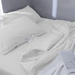 【AnD HOUSE 安庭家居】天絲40支-單人床包枕套組-米白色(透氣柔滑/夏天/50%萊賽爾纖維)