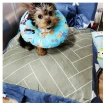 【May shop】華麗寵物床 狗床中小型犬貓窩(可拆洗附糖果枕)