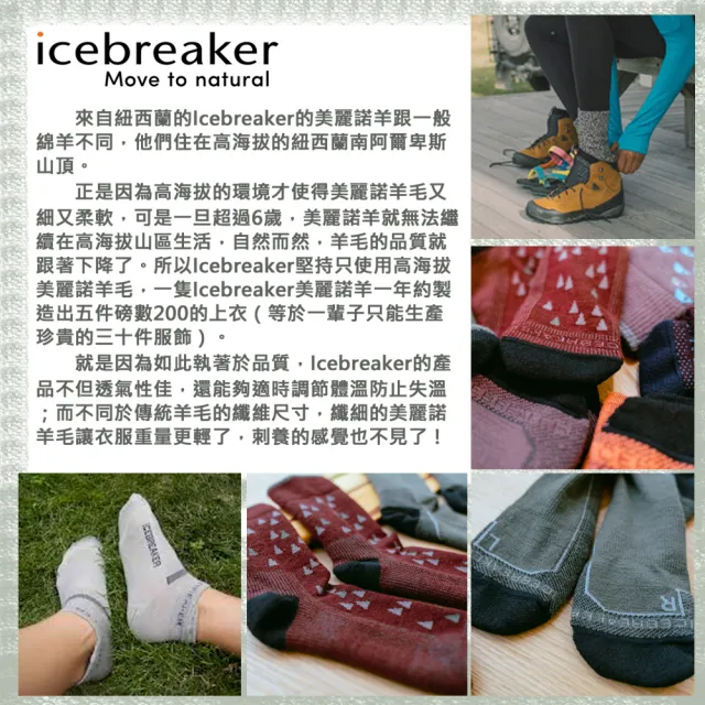 【Icebreaker】女 中筒中毛圈健行襪 IB0A56GN(羊毛/中筒/美麗諾羊毛/輕薄)