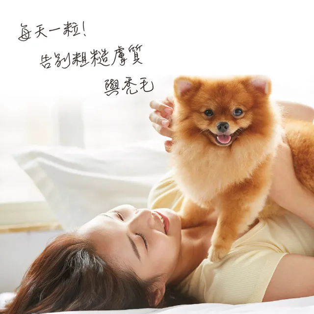 【Pet-Pro 毛孩寶】膚毛雙效爆毛膠囊 50粒/盒(犬貓皮膚保健、貓狗爆毛、台灣無毒鱉蛋粉)