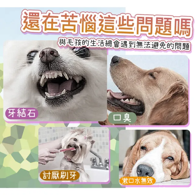 【LIKE PET】寵物潔牙指套濕紙巾50枚(寵物用品 寵物牙齒清潔 刷牙 指套濕巾 貓狗用品)