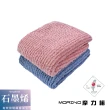 【MORINO】MIT 石墨烯超細纖維速乾擦髮巾 乾髮巾 吸水毛巾 擦拭巾(2入組)