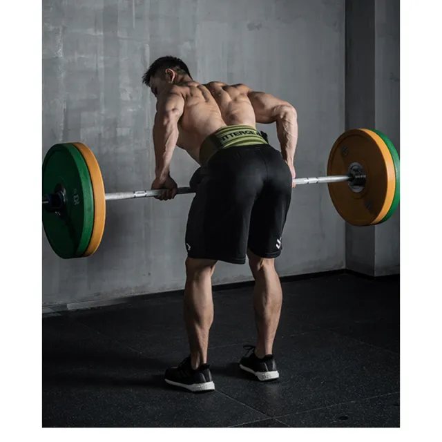 【FitterGear】健身重訓背部立體支撐訓練腰帶 尺寸可選