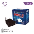 【匠心】PM2.5 專業防霾口罩 B級防護 黑色(12入/盒)