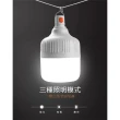 【ROYAL LIFE】USB充電戶外照明LED燈泡-2入組(夜市地攤燈 露營燈 應急燈 停電燈 擺攤燈)