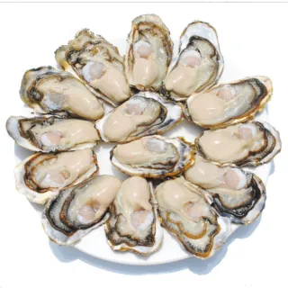 【一手鮮貨】日本室津原裝生食級牡蠣_2L(30顆組/2L生食級/一年生/生蠔)