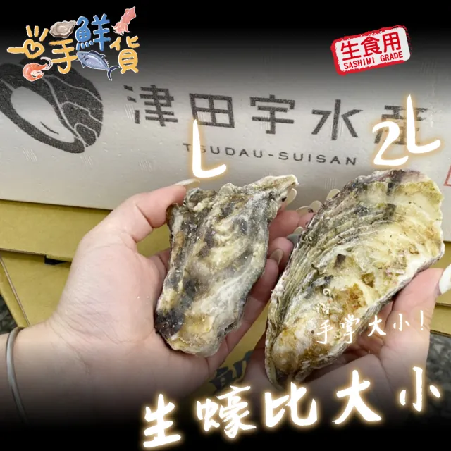 【一手鮮貨】日本室津原裝生食級牡蠣_2L(30顆組/2L生食級/一年生/生蠔)