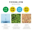 【SONA森那家居】LINE FRIENDS 熊大 莎莉 漫畫風系列 珪藻土 吸水洗漱墊 牙刷架(24x8x0.9 防潮 杯墊 瀝水)