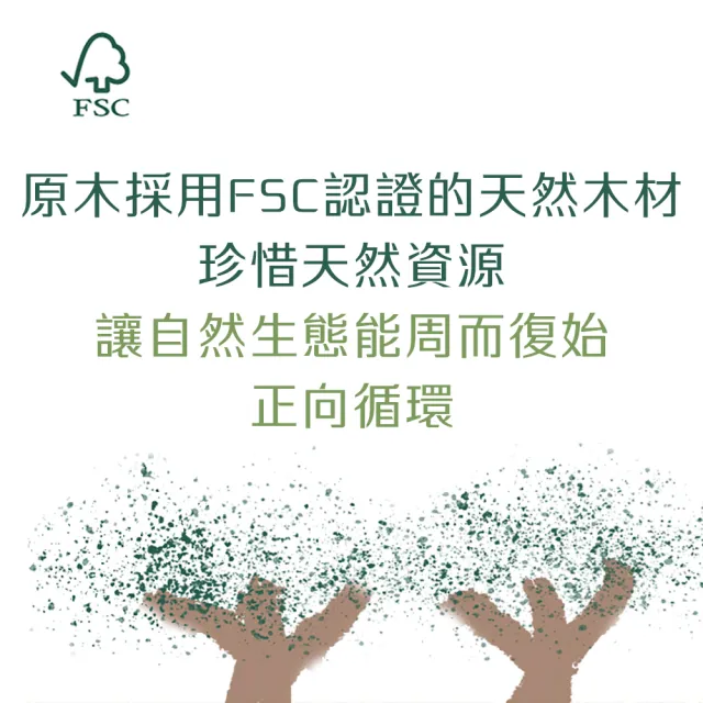 【BRAUN WETTBURG 珀薇】德國製白豚鬃沐浴清潔刷(厚刷/沐浴按摩美容潔顏/雙11)