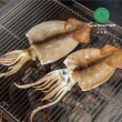 【Camaron 卡馬龍】大西洋野生深海魷魚3入組(400g/2隻)