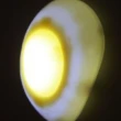 【Ainmax 艾買氏】可愛太陽蛋拍拍燈 荷包蛋煎蛋拍拍燈(本產品禁止使用鹼性電池 充電電池)
