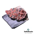 【SmileRocks 石麥】紅水晶小晶簇 7.4x4.4x2.6cm(晶簇水晶 附木化石底板)