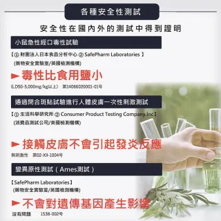 【台隆手創館】日本製日革防蹣墊-L 防蟎