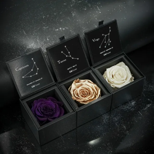 【CNFlower 西恩】星座恆星花2.0-12星座 1+1組合(送禮/買花/恆星花/花禮/星座/生日禮)