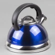 Creative Home Alexa 2.85升藍色高級不鏽鋼笛音茶壺 開水壺 茶水壺 冷水壺