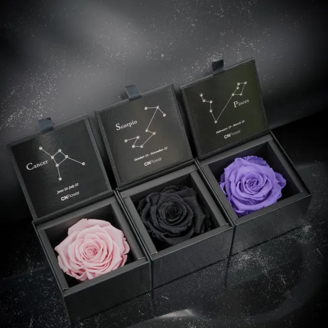 【CNFlower 西恩】星座恆星花2.0-12星座 情侶閨蜜奢華星座組(送禮/買花/恆星花/花禮/星座/生日禮)