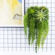 【HUGO DECO 榆果傢飾】空氣鳳梨蕨葉植生框(擬真植栽/擬真植物/電箱佈置/居家佈置/壁面裝飾)