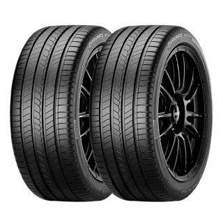 【PIRELLI 倍耐力】ROSSO 里程/效率 汽車輪胎 二入組 215/55/17(安托華)