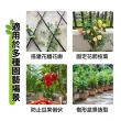 【kurumapop】園藝包塑鐵絲20米 多色可選(綑綁帶/固定帶/鐵絲)