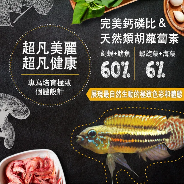 【鮮蝦食譜】挑嘴野生中型熱帶魚-全天然蛋白魷魚大蒜蝦肉堡120ml(短鯛飼料 神仙魚飼料 燈科魚飼料 七彩魚)