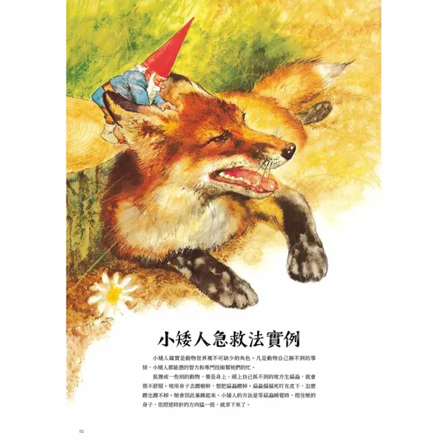 小矮人全書Gnomes（特價收藏版）