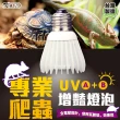 【ISTA 伊士達】專業爬蟲UVA+UVB 增豔燈泡 沙漠型 10.0/6W