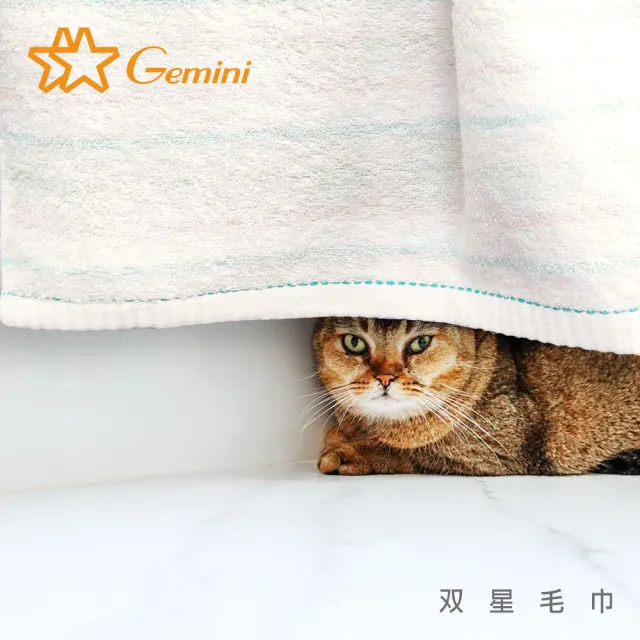 【Gemini 雙星】官方直營 精梳棉粉彩條紋系列(毛巾超值二入組)