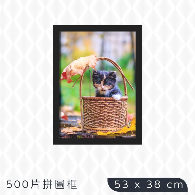 【TRENY】500片拼圖框53x38cm-黑