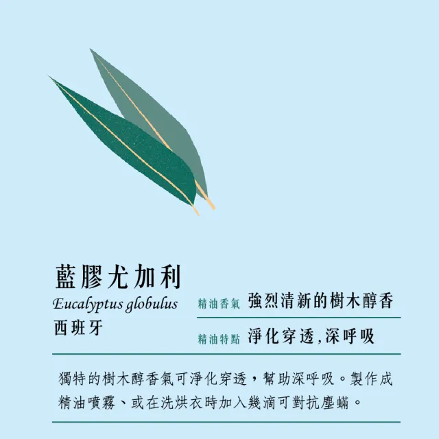 【愛爾蘭-自然之事】100%有機藍膠尤加利單方純精油12ml - 沁涼(淨化.驅除塵蟎蚊蟲.)